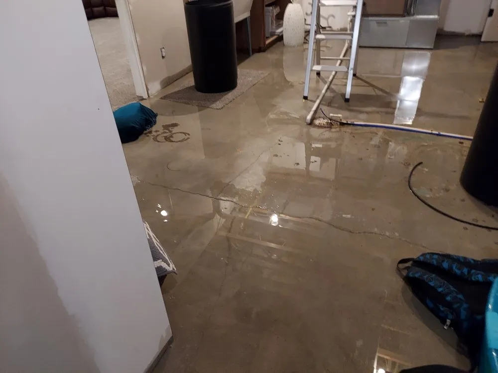 Sewer Backup Guide: Causes, Health Risks, and Insurance Coverage