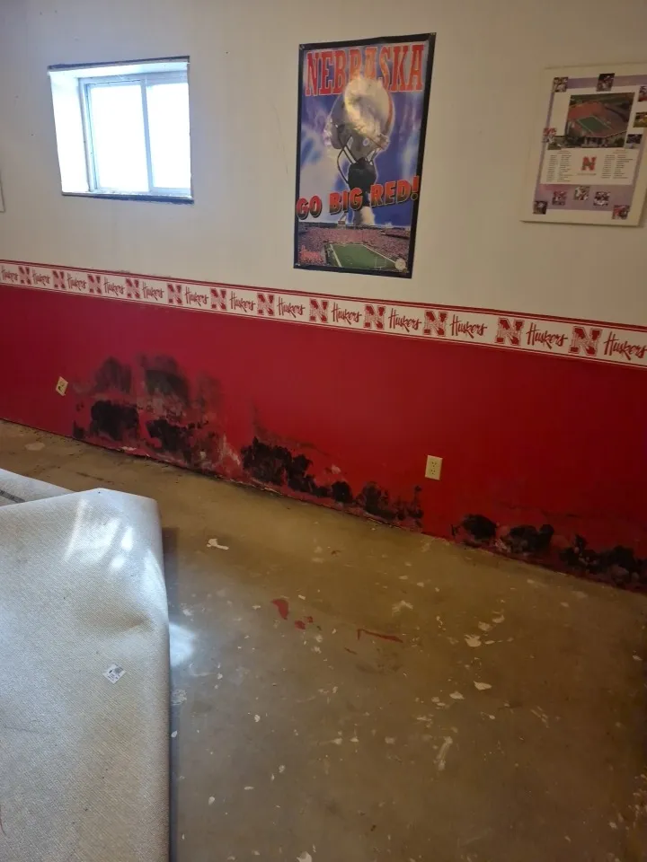 Severe black mold growth on a basement wall in South Central Nebraska being prepared for certified professional remediation.