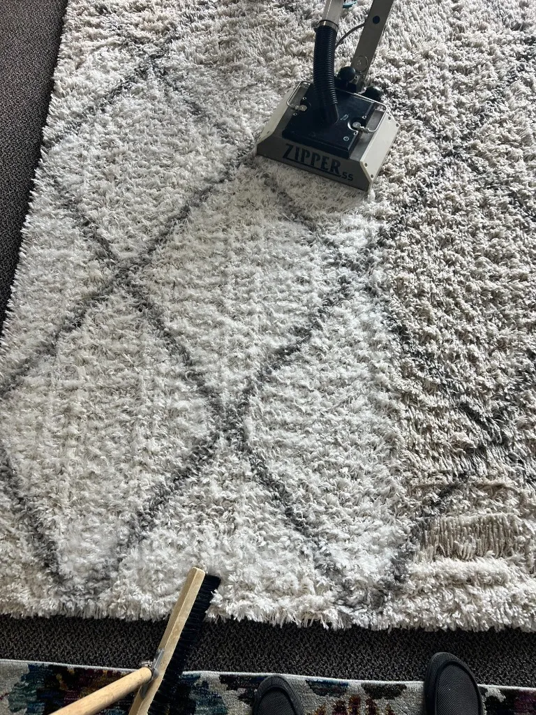 Professional truck-mounted rug cleaning tool extracting dirt from a white shag rug.
